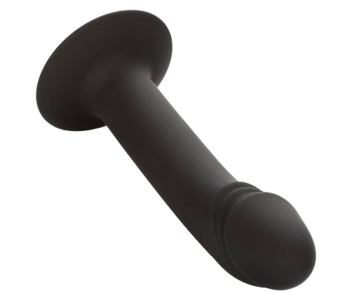 CALEXOTICS - CURVED ANAL STUD