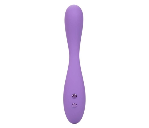 CALEXOTICS - CONTOUR DEMI VIOLET