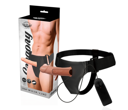 HARNESS ATTRACTION - GREGORY HOLLOW RNES WITH VIBRATOR 16.5 CM -O- 4.3 CM
