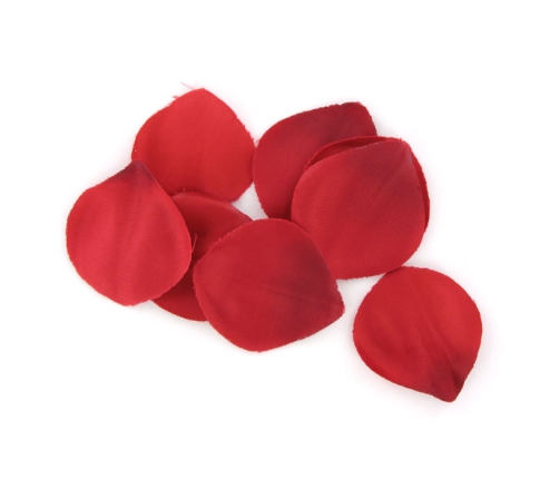 EXTASE SENSUAL - RED TEMPTATION CHEST