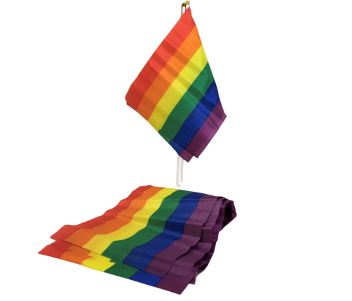 PRIDE - LGBT FLAG SMALL FLAG BANNER