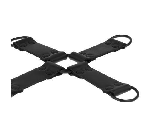 INTENSE - FETISH HOG TIE