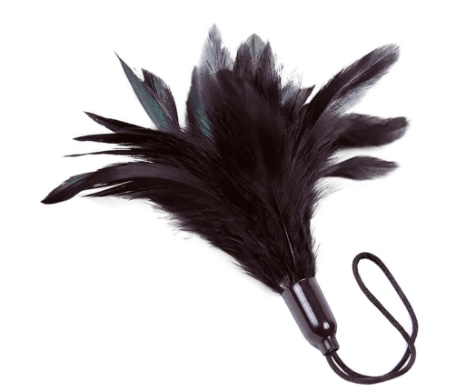 ADRIEN LASTIC - PRESTIGE BLACK DUSTER