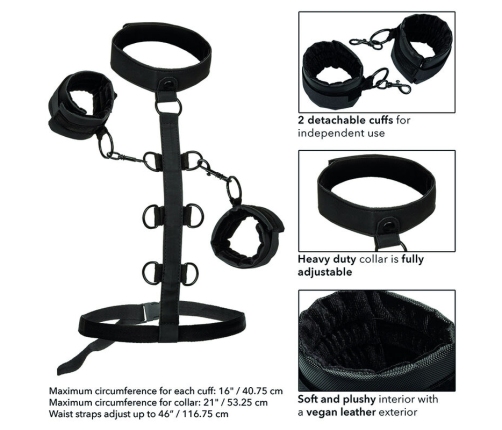 CALEXOTICS - BOUNDLESS SUJECCIÓN DEL CUERPO Y EL CUELLO