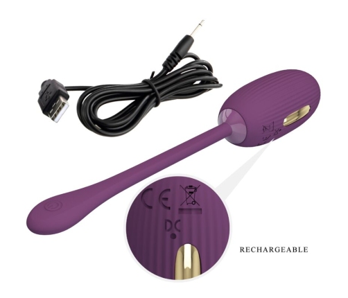 PRETTY LOVE - DOREEN PURPLE RECHARGEABLE VIBRATING EGG
