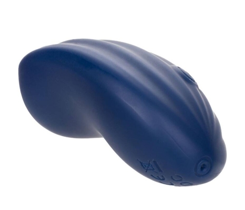 CALEXOTICS - CASHMERE VELVET CURVE BLUE