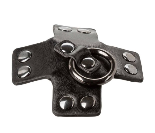 CALEXOTICS - EUPHORIA O-RING BLACK