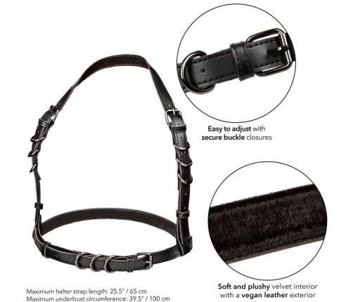 CALEXOTICS - EUPHORIA ARNÉS HATLER CON HEBILLA NEGRO