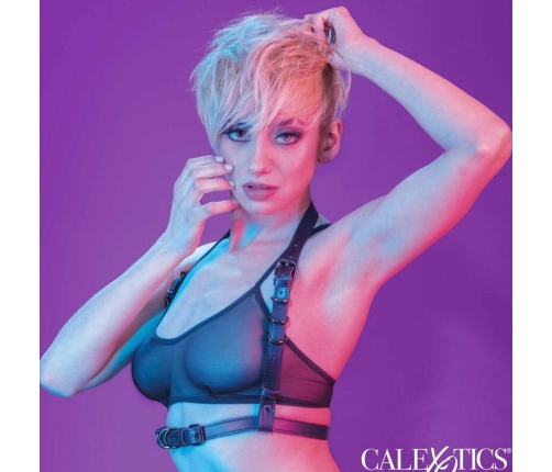 CALEXOTICS - EUPHORIA ARNÉS HATLER CON HEBILLA NEGRO