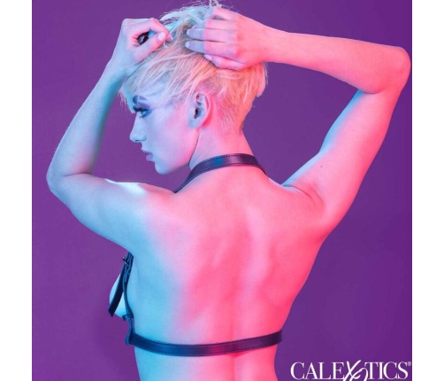 CALEXOTICS - EUPHORIA ARNÉS HATLER CON HEBILLA NEGRO