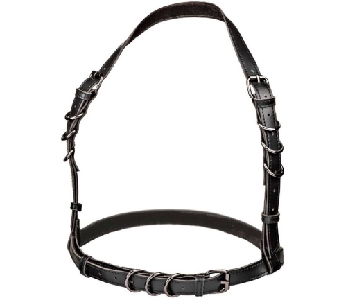 CALEXOTICS - EUPHORIA ARNÉS HATLER CON HEBILLA TALLA GRANDE NEGRO