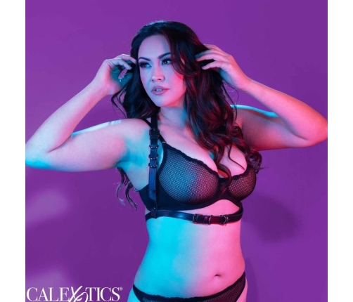 CALEXOTICS - EUPHORIA ARNÉS HATLER CON HEBILLA TALLA GRANDE NEGRO