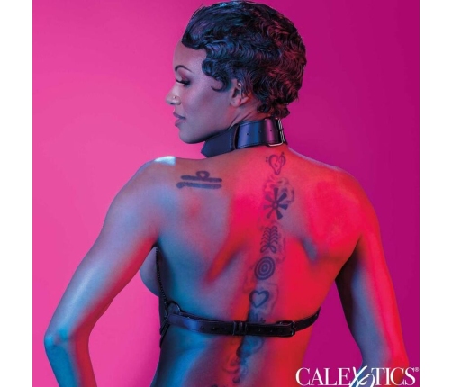 CALEXOTICS - EUPHORIA ARNÉS DE CUELLO DE CADENA