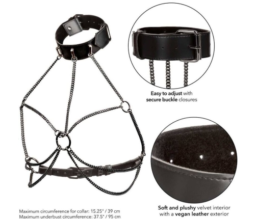 CALEXOTICS - EUPHORIA ARNÉS DE CUELLO DE CADENA