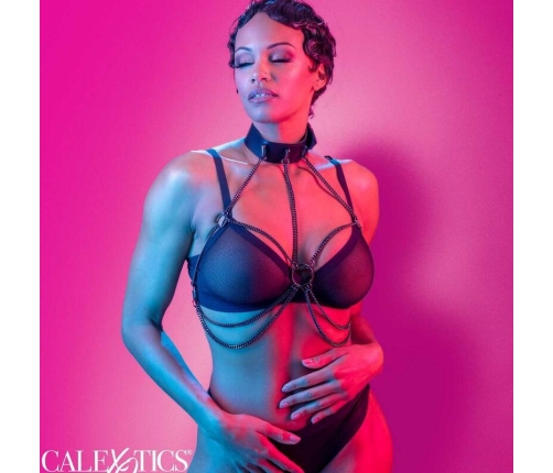 CALEXOTICS - EUPHORIA ARNÉS DE CUELLO DE CADENA