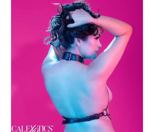CALEXOTICS - EUPHORIA ARNÉS DE CUELLO DE CADENA TALLA GRANDE