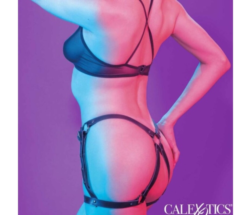 CALEXOTICS - EUPHORIA ARNÉS DE MUSLO EQUITACIÓN