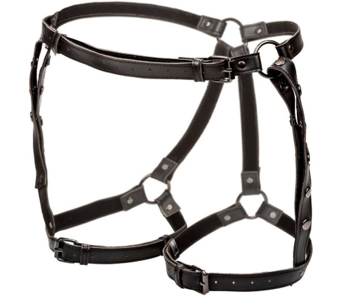 CALEXOTICS - EUPHORIA ARNÉS DE MUSLO EQUITACIÓN TALLA GRANDE