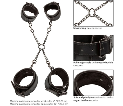 CALEXOTICS - EUPHORIA HOG TIE