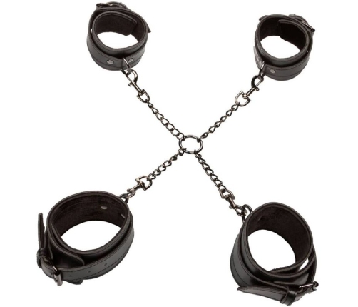 CALEXOTICS - EUPHORIA HOG TIE