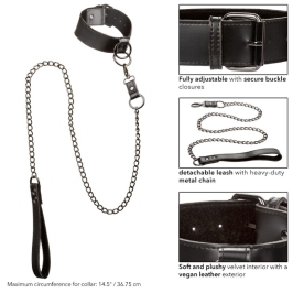 CALEXOTICS - EUPHORIA COLLAR WITH CHAIN LEASH CALEXOTICS - EUPHORIA COLLAR WITH CHAIN LEASH