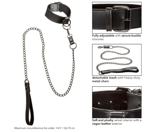 CALEXOTICS - EUPHORIA COLLAR WITH CHAIN LEASH