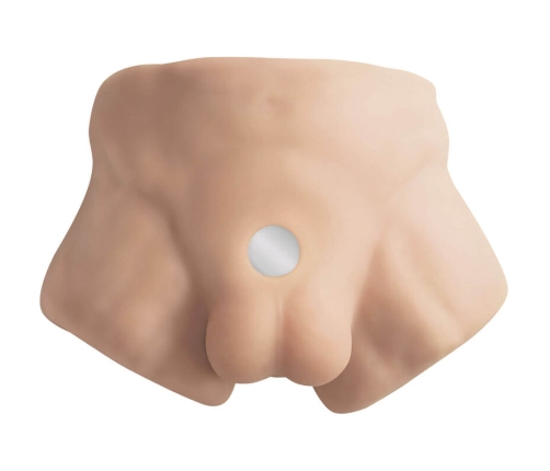 SILEXD - APOLLO S REALISTIC MALE LOWER TORSO