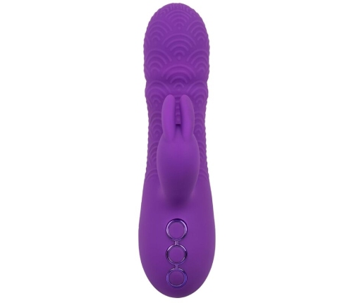 CALEXOTICS - MANHATTAN BEACH MARVEL VIBRATOR RABBIT PURPLE BY CALIFORNIA DREAMING