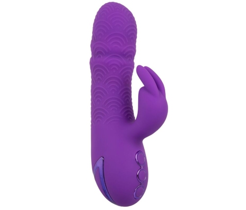 CALEXOTICS - MANHATTAN BEACH MARVEL VIBRATOR RABBIT PURPLE BY CALIFORNIA DREAMING