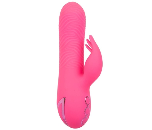 CALEXOTICS - SACRAMENTO SWEETIE VIBRATOR RABBIT PINK BY CALIFORNIA DREAMING