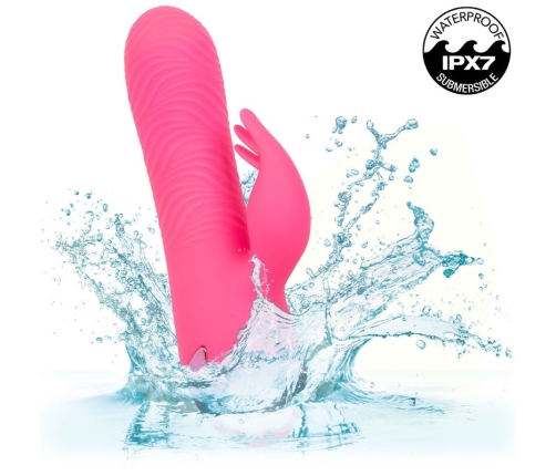 CALEXOTICS - SACRAMENTO SWEETIE VIBRATOR RABBIT PINK BY CALIFORNIA DREAMING