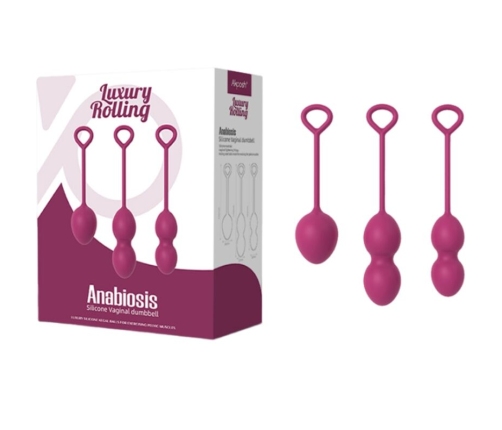 ARMONY - ANABIOSIS VAGINAL DUMBBELL 3 LEVELS BURGUNDY