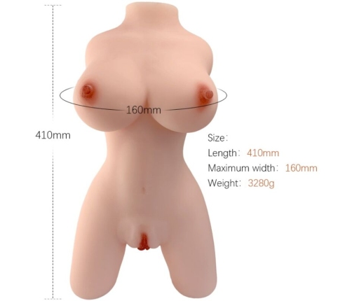 ARMONY - REALISTIC FEMALE TORSO MODEL 4