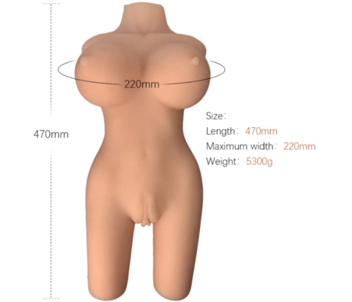 ARMONY - REALISTIC FEMALE TORSO MODEL 6
