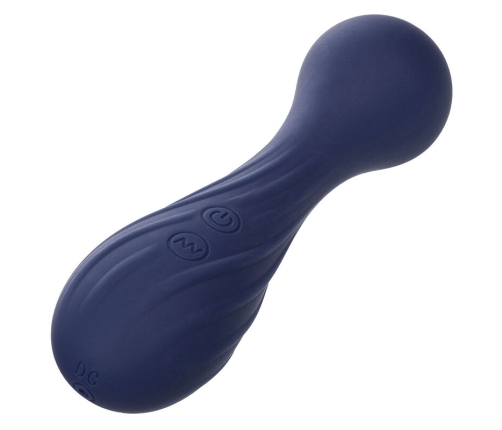 CALEXOTICS - CHARISMA TEMPTATION MASAJEADOR 12 FUNCIONES MORADO