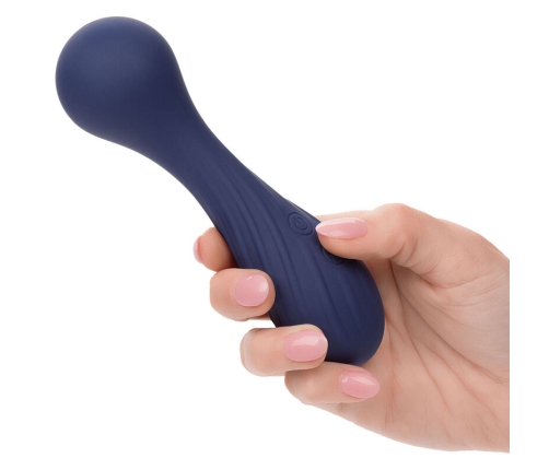 CALEXOTICS - CHARISMA TEMPTATION MASAJEADOR 12 FUNCIONES MORADO