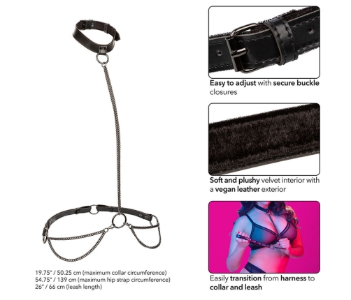 CALEXOTICS - EUPHORIA COLLAR HALTER Y CORREA CON CADENA TALLA PLUS