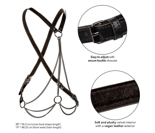 CALEXOTICS - EUPHORIA ARNÉS DE MÚLTIPLES CADENAS PREMIUM TALLA PLUS