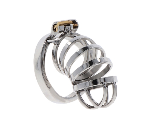 HIDDEN DESIRE - EXTREME CHASTITY COCK CAGE METAL