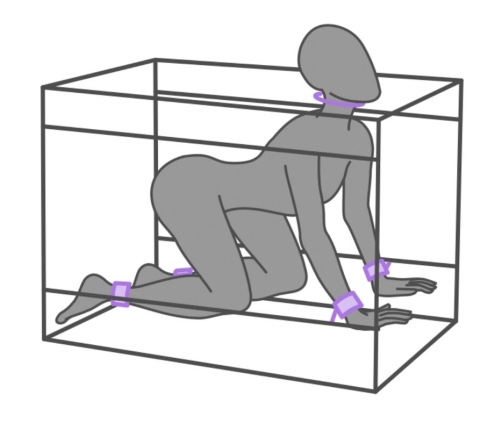 SECRET DOME - KINK CLUB LA NICHE CABIN PURPLE