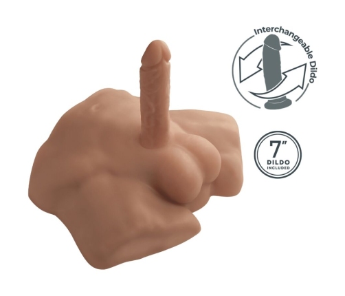 SILEXD - APOLLO S REALISTIC HALF MALE TORSO CARAMEL