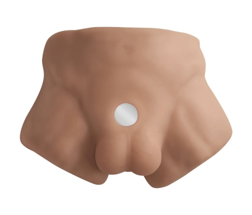 SILEXD - APOLLO S REALISTIC HALF MALE TORSO CARAMEL