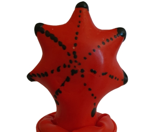 CONDOMERIE - HANDPAINTED NOVELTY CONDOMS STARFISH