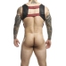 MOB - DNGEON HARNESS WITH RED PENIS RING ONE SIZE