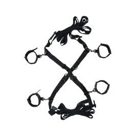 CALEXOTICS - SCANDAL SET OF CROSS BED TIES