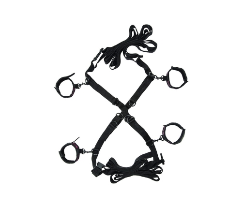 CALEXOTICS - SCANDAL SET OF CROSS BED TIES