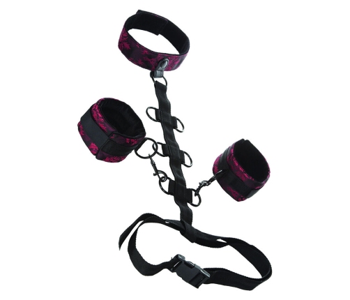 CALEXOTICS - SCANDAL SUJECIÓN COMPORAL CON CUELLO