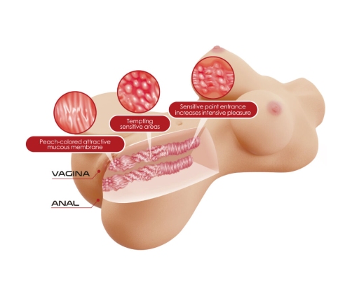 CRAZY BULL - HETTY REALISTIC FEMALE TORSO VAGINA AND ANAL 1.9 KG
