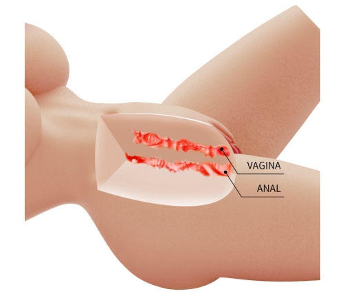 CRAZY BULL - LILY REALISTIC FEMALE TORSO VAGINA AND ANAL 4 KG