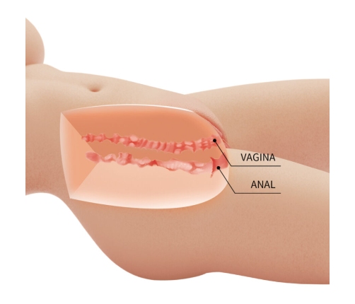 CRAZY BULL - TIFFANY REALISTIC FEMALE TORSO VAGINA AND ANAL 5.5 KG